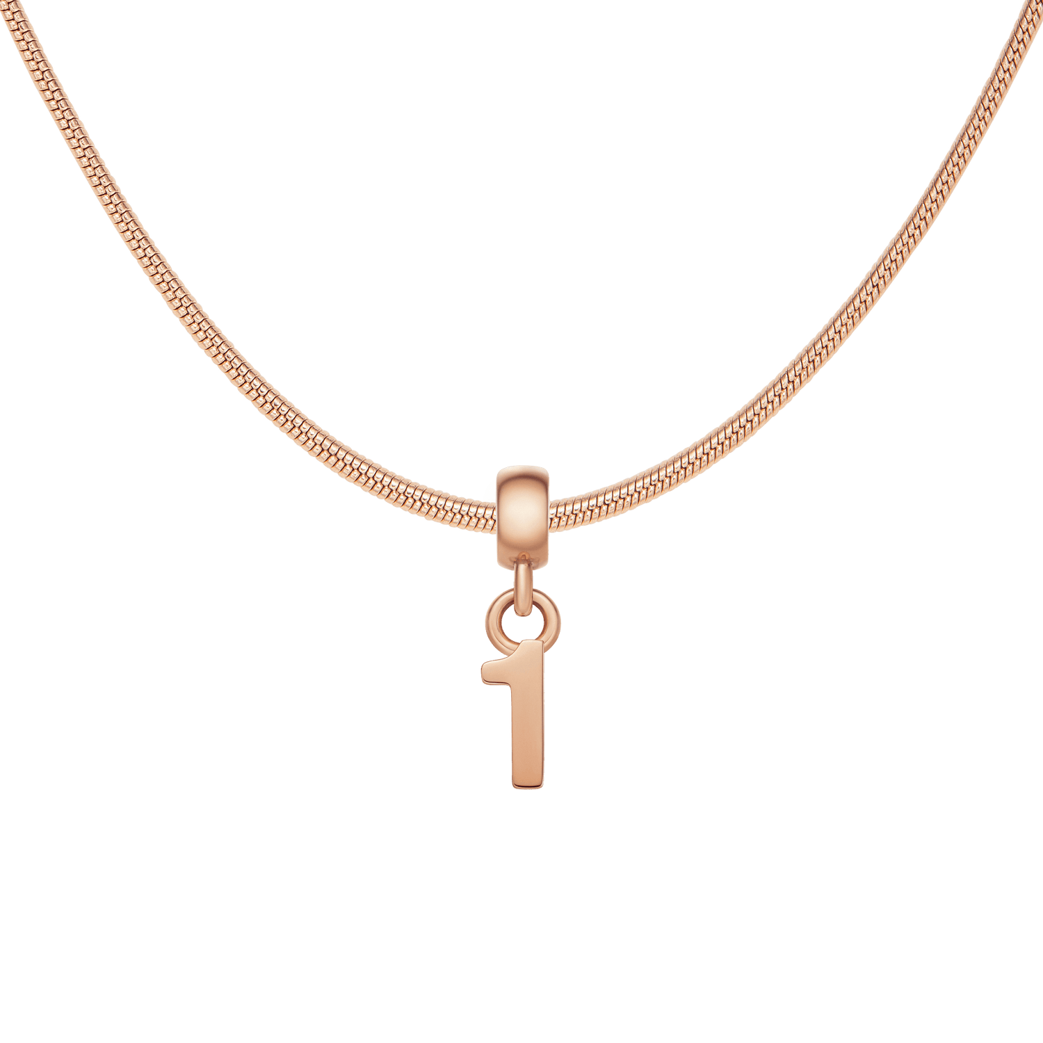 Number Rose Gold Charm + Snake Necklace RG