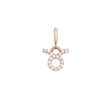 Zodiac Watch Charm Rose Gold
