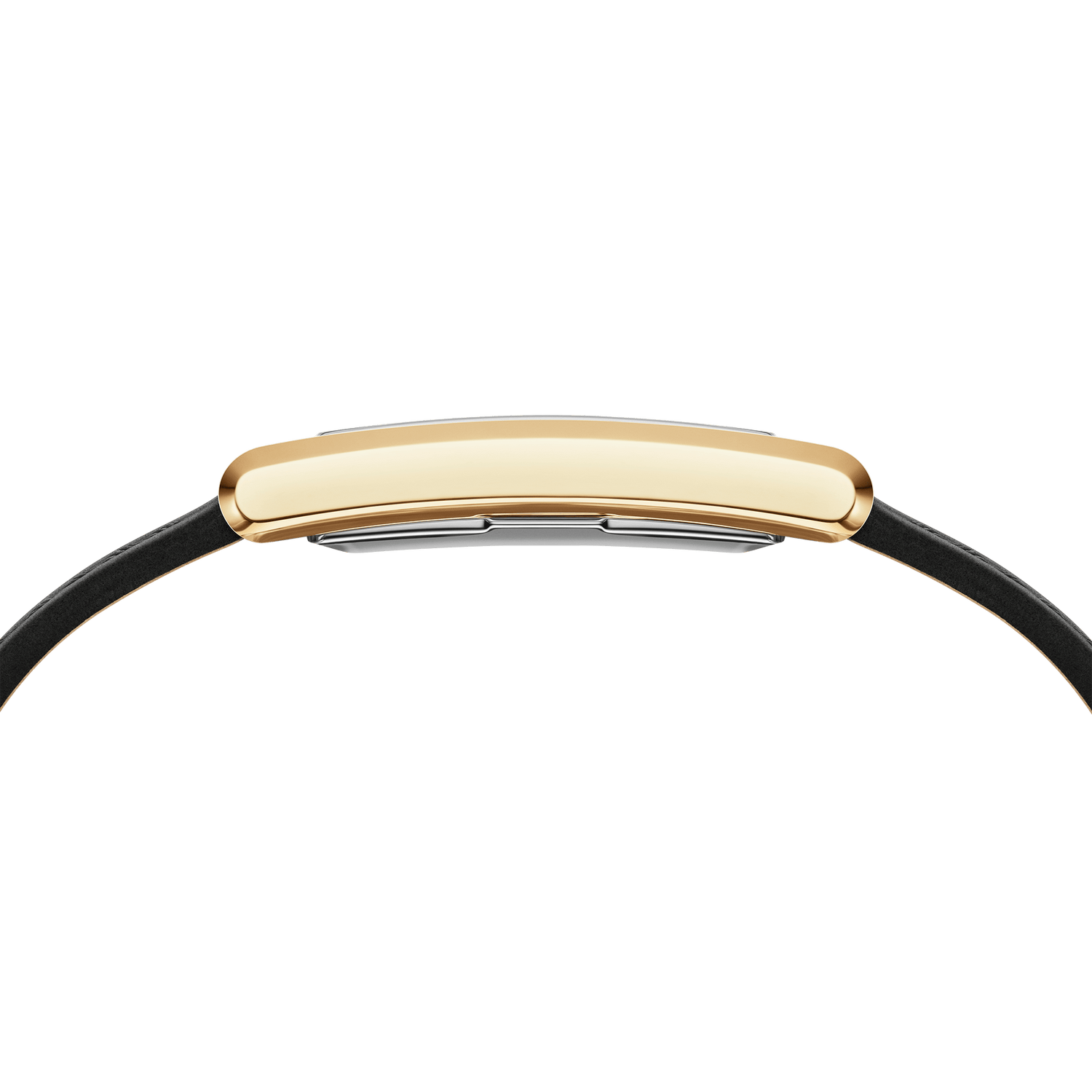 Bound Black Crocodile Gold